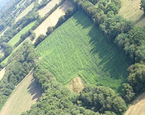 Aerial view of the leafy maze near Quimper.